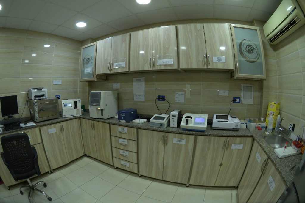 DSC 1273 1024x683